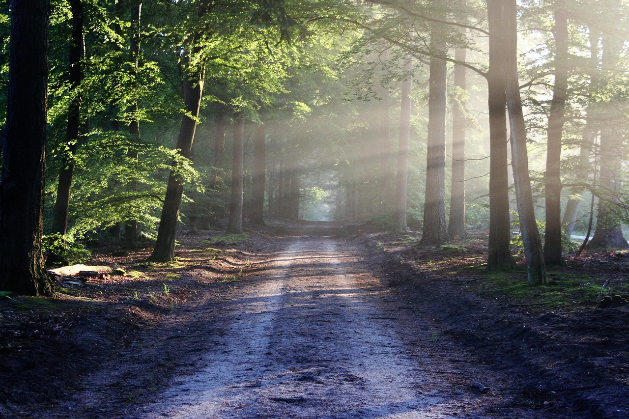 Read more about the article Beyond the Beaten Path: Discovering the Hidden Wonders of Asia